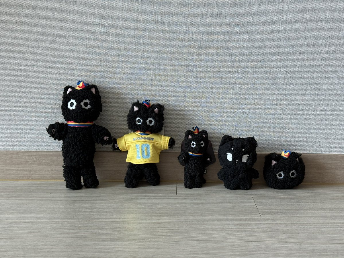 tengomool's tweet photo. 조르르륵 깜고 파티 🐈‍⬛🐈‍⬛🐈‍⬛🐈‍⬛🐈‍⬛ https://t.co/mbiH4Jmkwz