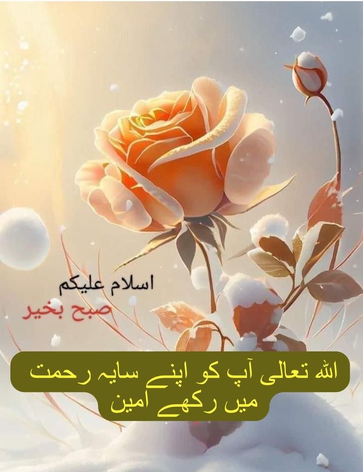 السلام علیکم!
 *اے اللہ!* 
ہمیں اتنا بدل دے یہاں تک کہ تو ہم سے محبت کرنے لگے۔
*آمین، یا ربّ العالمین!*🤲 ❤️
#داستان_دل