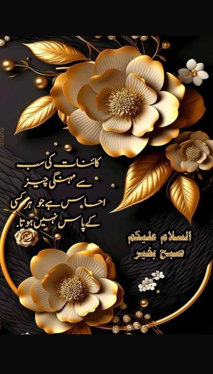 السلام علیکم!
 *پوری دنیا کو فتح کرنے سے بھی بڑی کامیابی یہ ہے کہ فجر کی نماز وقت پر ادا کر کے، شیطان پر اپنی دن کی پہلی فتح حاصل کرو اور اپنے اللہ کے حضور سجدہ ریز ہو جاؤ۔ ❤️*
 #داستان_دل