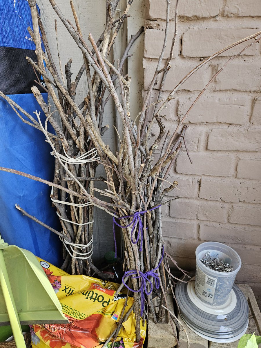 happy birthday, you gay