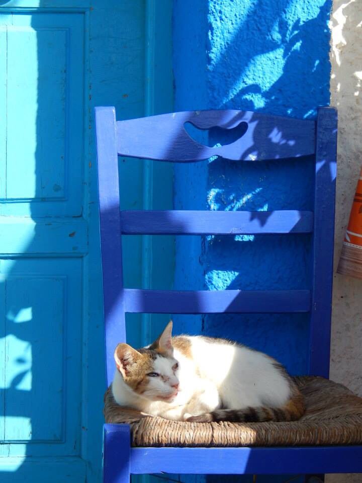 Gianni® (@giannij08) on Twitter photo 