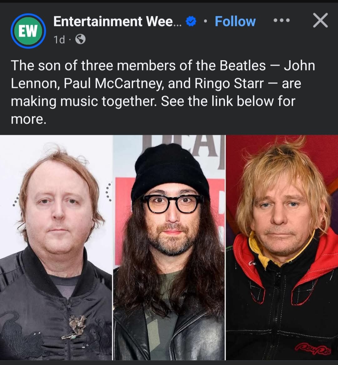 Who ordered The Beatles from Temu?