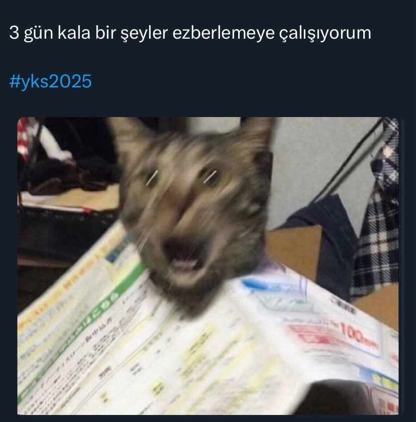 Ösym Elçisi (@osymelcisi) on Twitter photo 