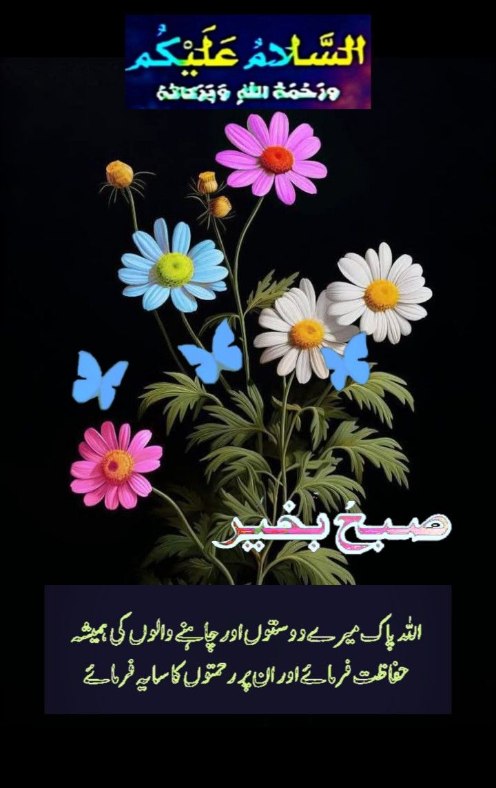 السلام علیکم!
 جب آپ ننگے پاؤں ہوں اور خدا آپکو جوتوں سے 
نوازے تو اپنی چال تبدیل نا کریں🌸💕
 #داستان_دل