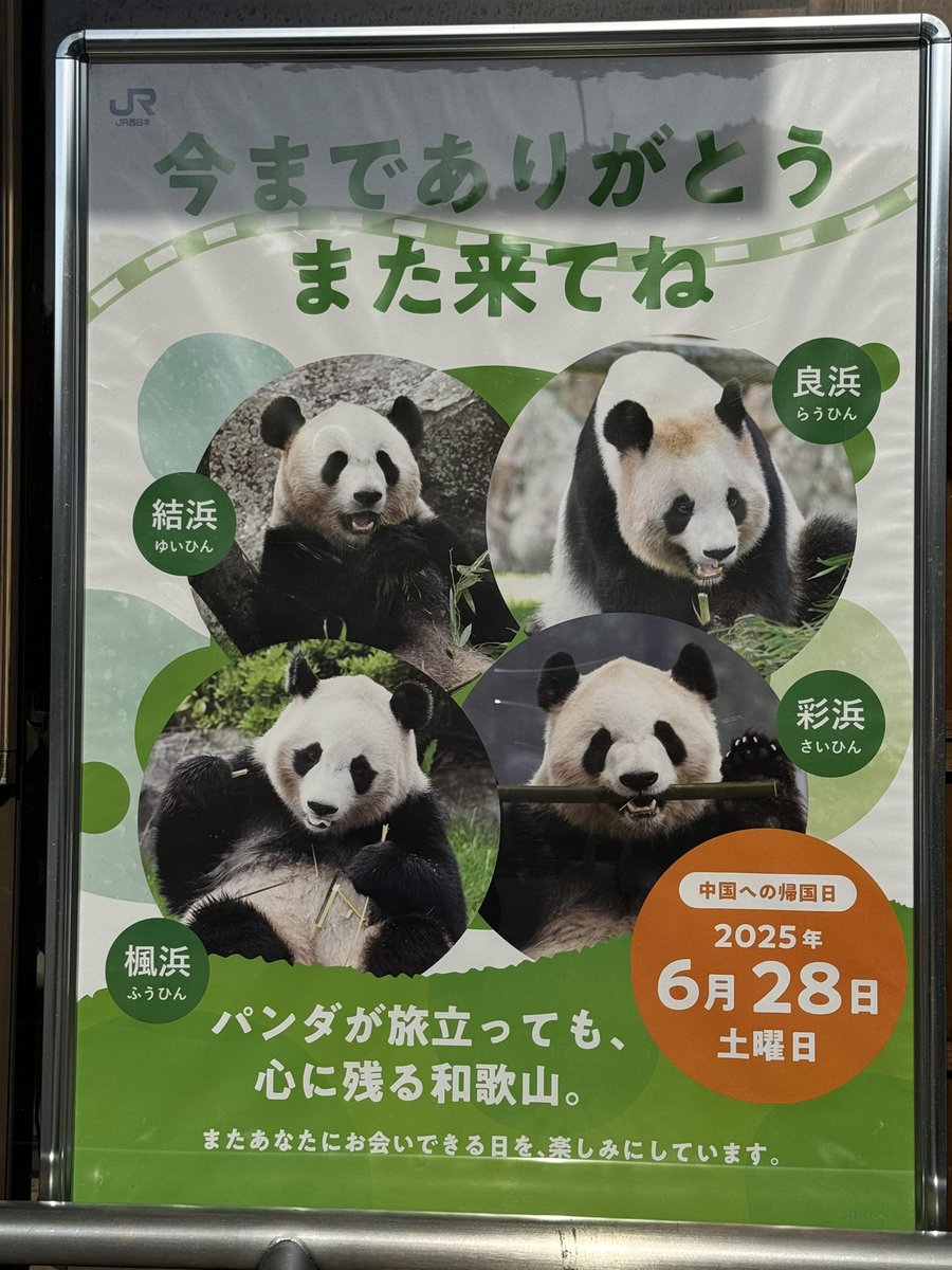 なにわじぇんぬ on X