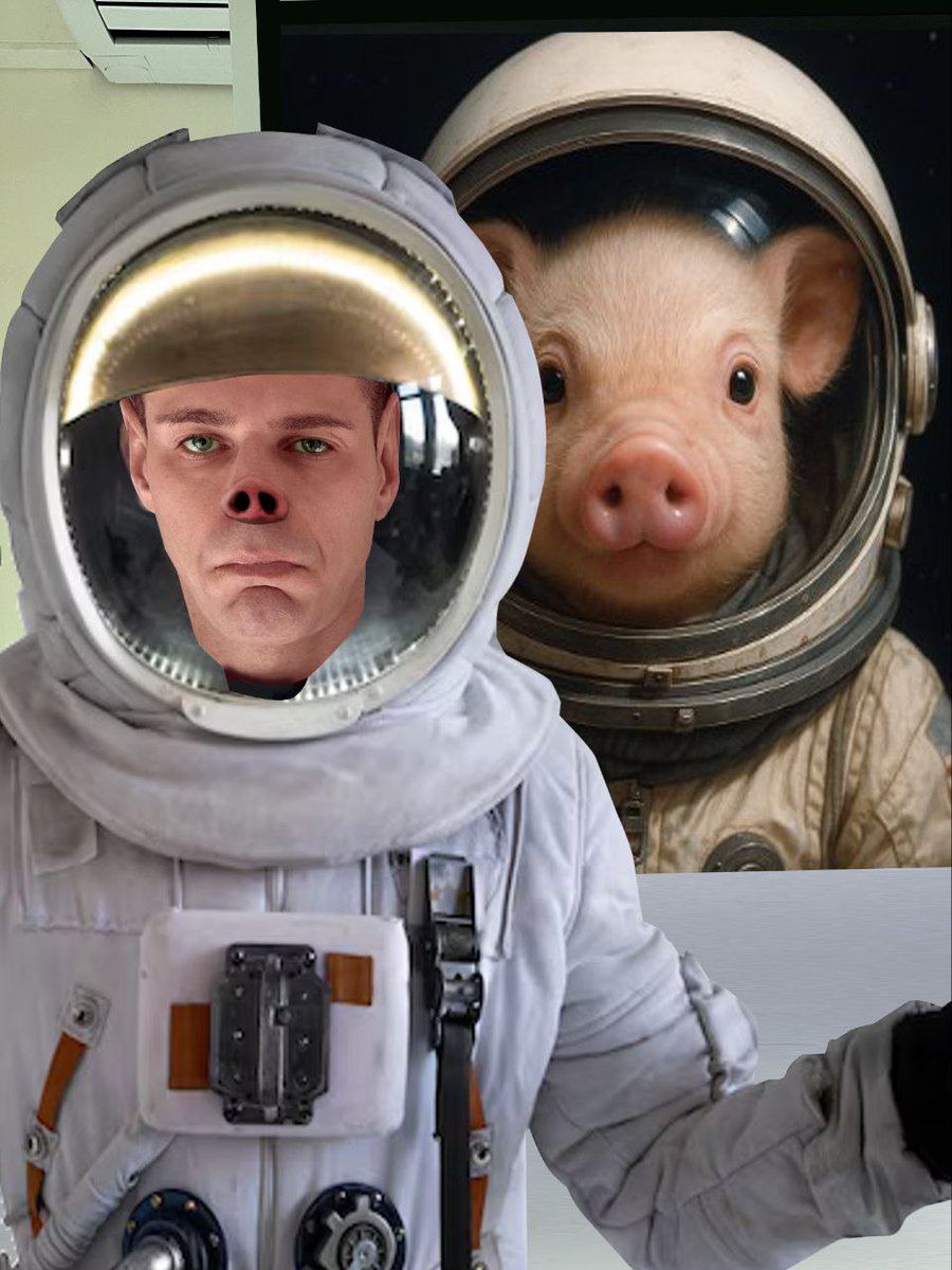 Cosplayed as a #moonpig character for my cool friends <a href="/moonpigmeme/">moonpig</a> 🌕🐷!