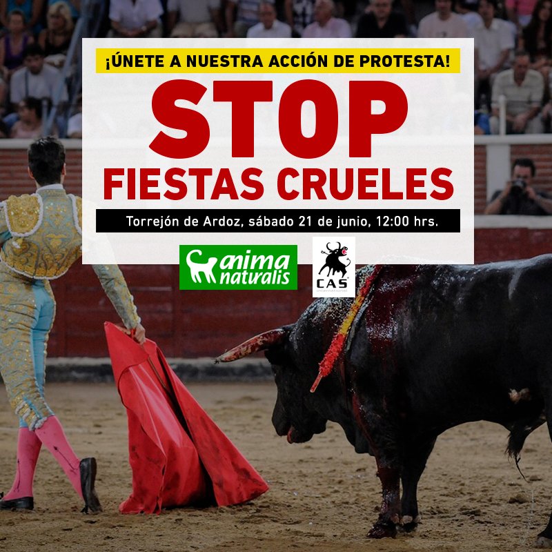 🐂📢 Este sábado, únete a la protesta contra la Feria Taurina de #TorrejónDeArdoz (Madrid).

¡Basta de torturar y matar animales en las fiestas populares!

🗓️ Sábado, 21 de junio de 2025
⏰ 12:00
📍 Plaza Mayor, Torrejón de Ardoz (frente al Ayuntamiento)

👉 Confirma asistencia: