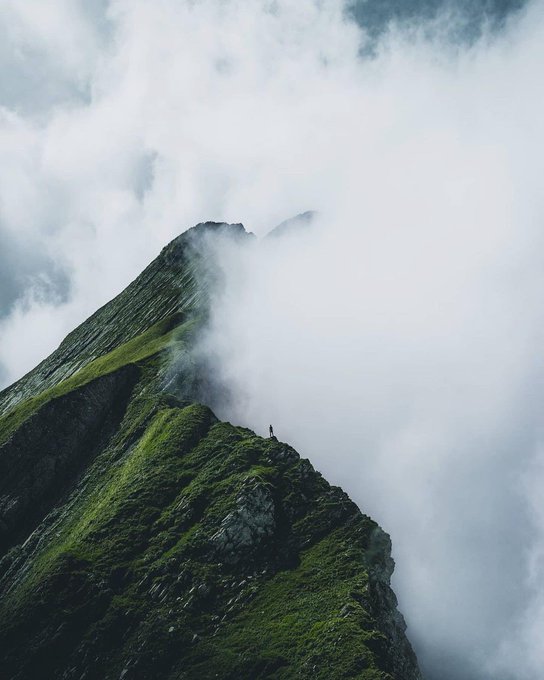 Photography by Marvin_ Walter