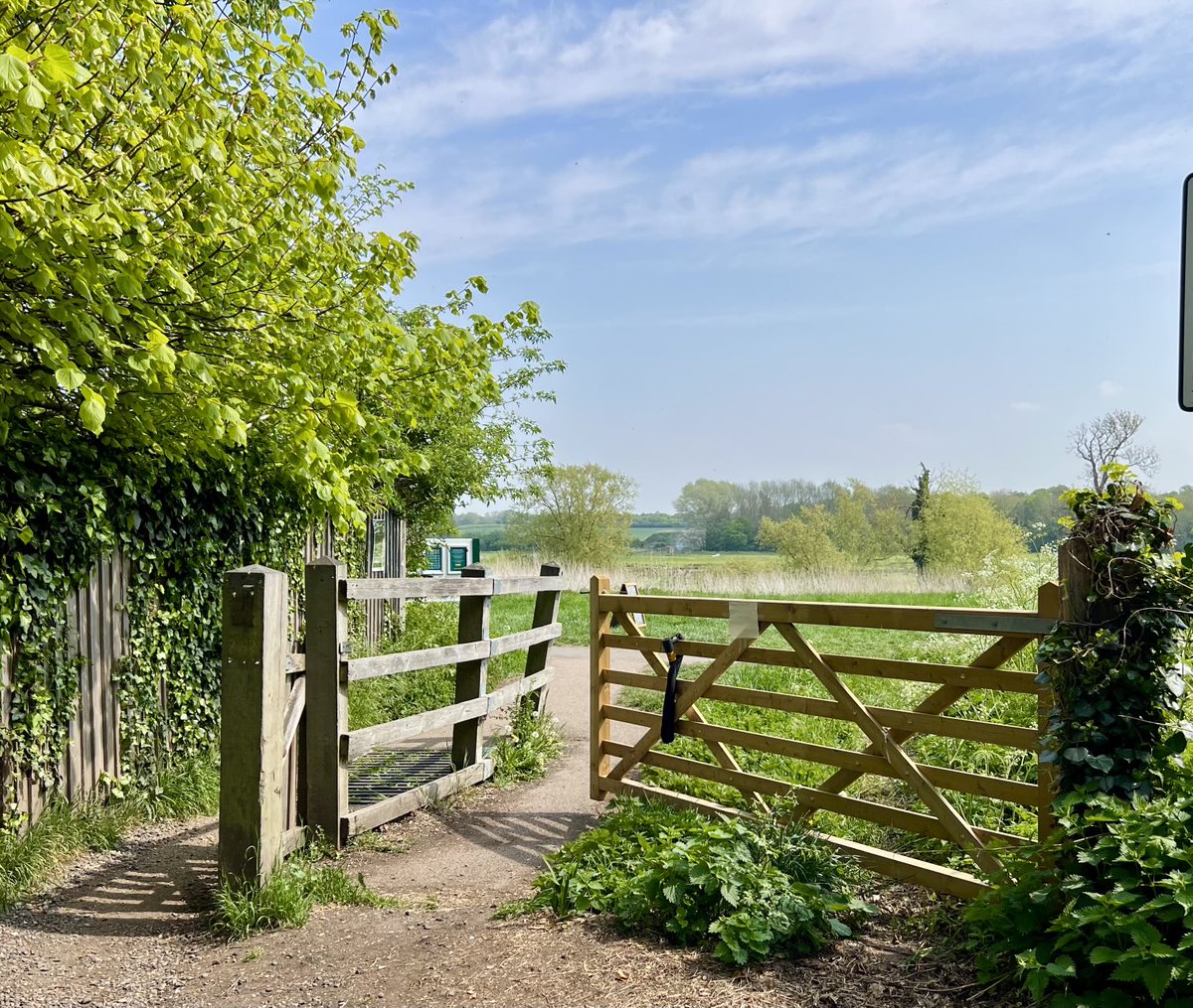 #Thursgate - Grantchester Meadows