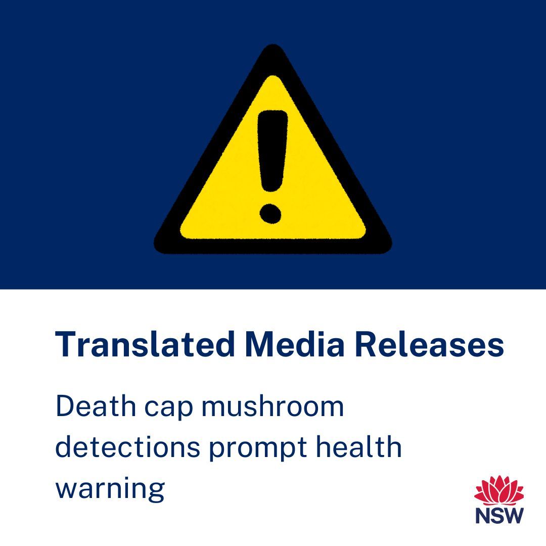 ⚠️ NSW Health warns: Poisonous death cap mushrooms have been found in Sydney, Southern Highlands &amp; Southern NSW.
If you suspect poisoning, call Poisons Info Centre 13 11 26 immediately.
In emergencies, call 000 or go to the nearest hospital.
More info: health.nsw.gov.au/news/Pages/202…