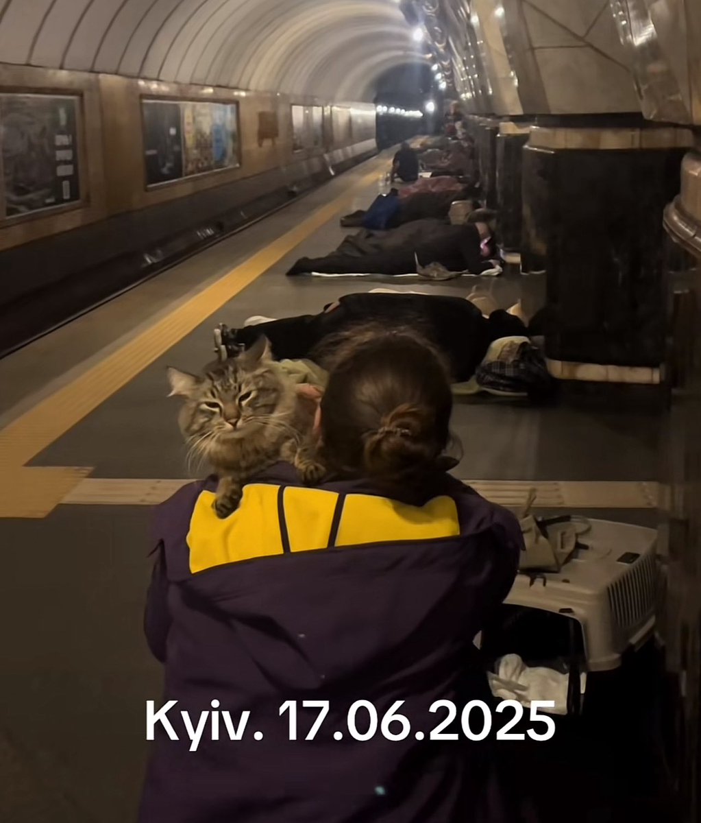 Mira of Kyiv 🇺🇦 tweet media