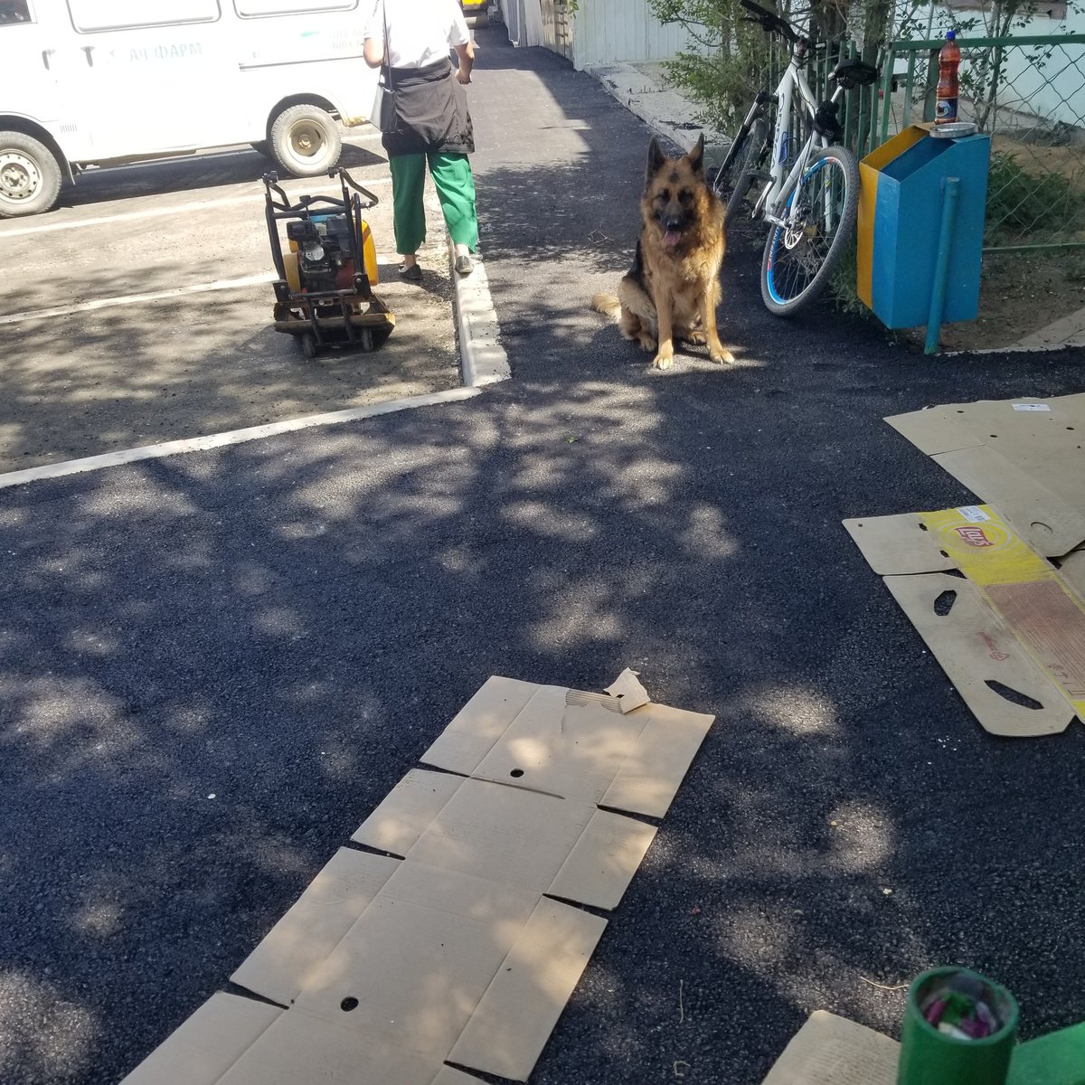 нохойгоо хошуувчтай гаргаж байлдаа дугуйгаа авж чадахгүй бна шдээ