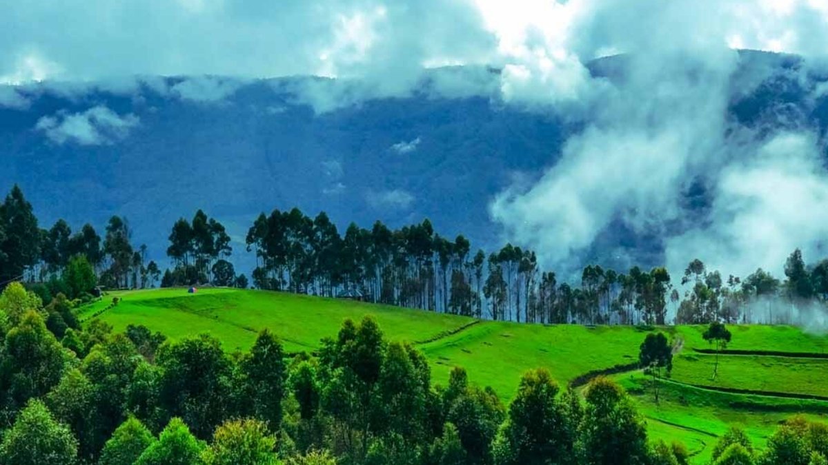 QuickBzar's tweet photo. Escape to the serene hills of Vattavada with QBStay 
Chill climate, endless strawberry fields &amp; peaceful vibes perfect for your next getaway!
𝐖𝐞𝐛 𝐋𝐢𝐧𝐤: https://t.co/B5U6VqTxup
𝐅𝐨𝐫 𝐁𝐨𝐨𝐤𝐢𝐧𝐠: https://t.co/VgzKhv3Pt6
@KeralaTourism https://t.co/bFRCVVzaKb