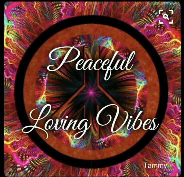 NormaJean Bertrand (@jeanniebee61) on Twitter photo 