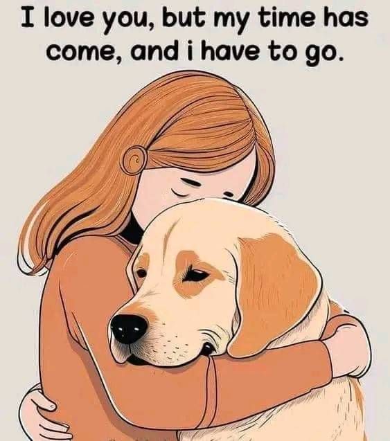 Dog Lovers (@doglovers03) on Twitter photo 