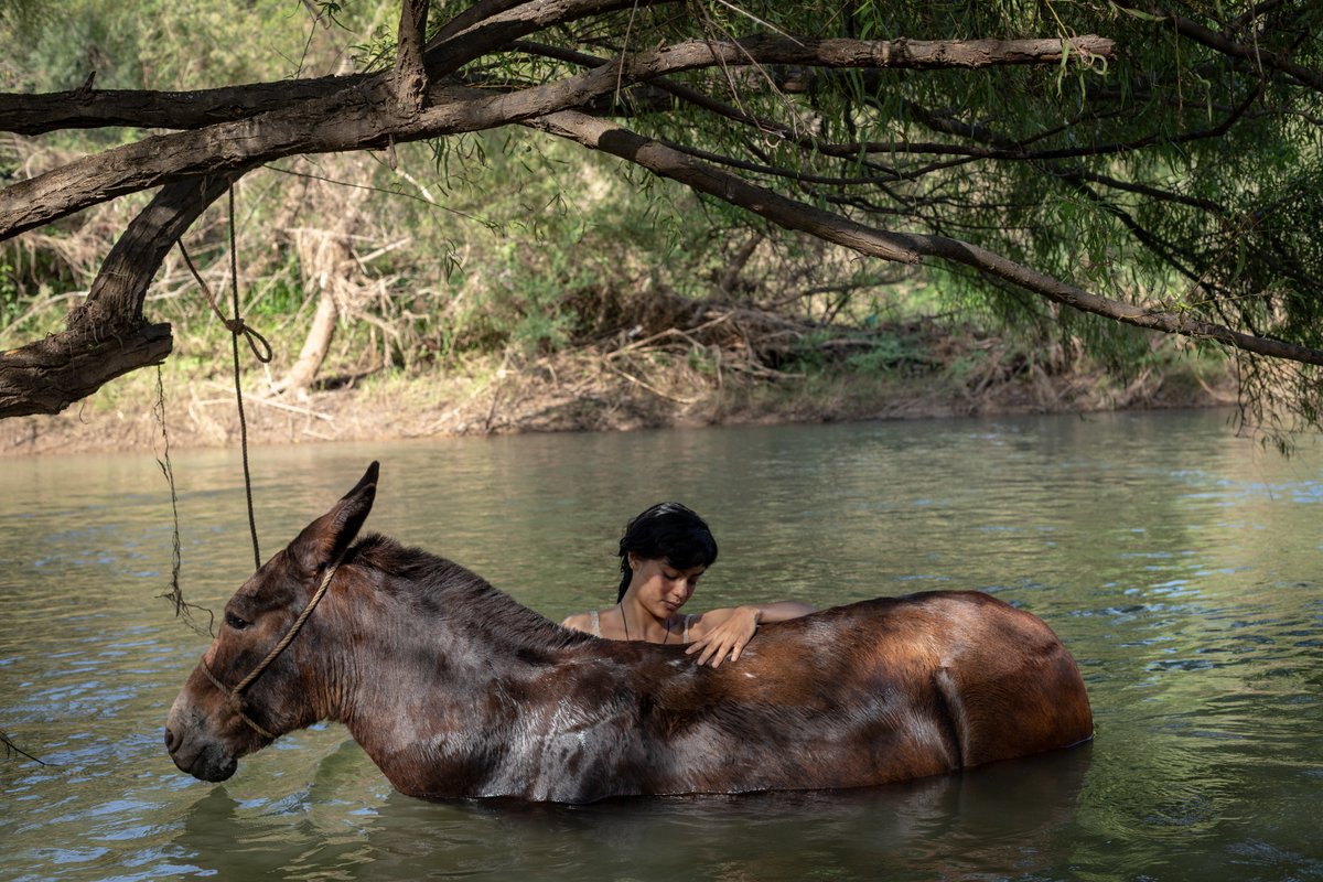 GabrielGtzG tweet media