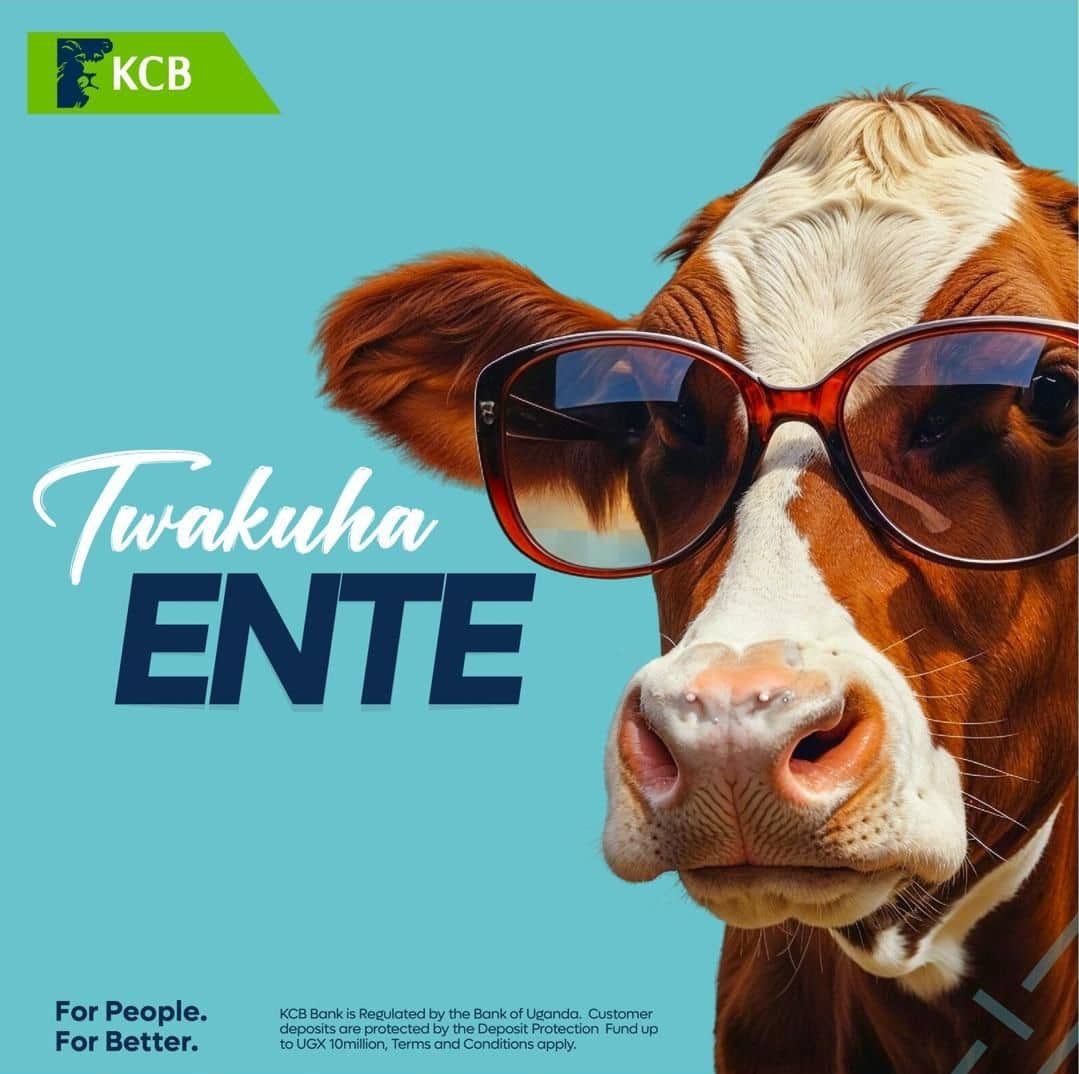 octoberbae914's tweet photo. Good morning from the peoples bank❤️
@kcbbankug how do I qualify for this “ente”
#Forpeople
#Forbetter https://t.co/4UfNlXGK2V