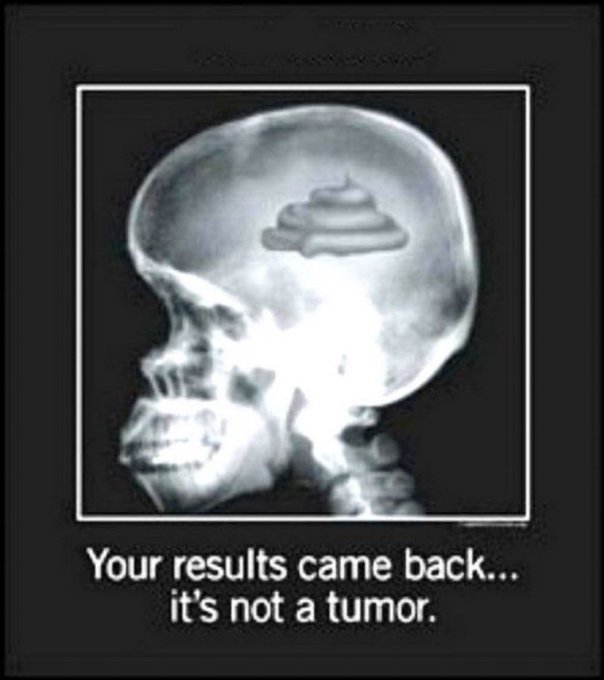 DoronStauberAgain tweet media