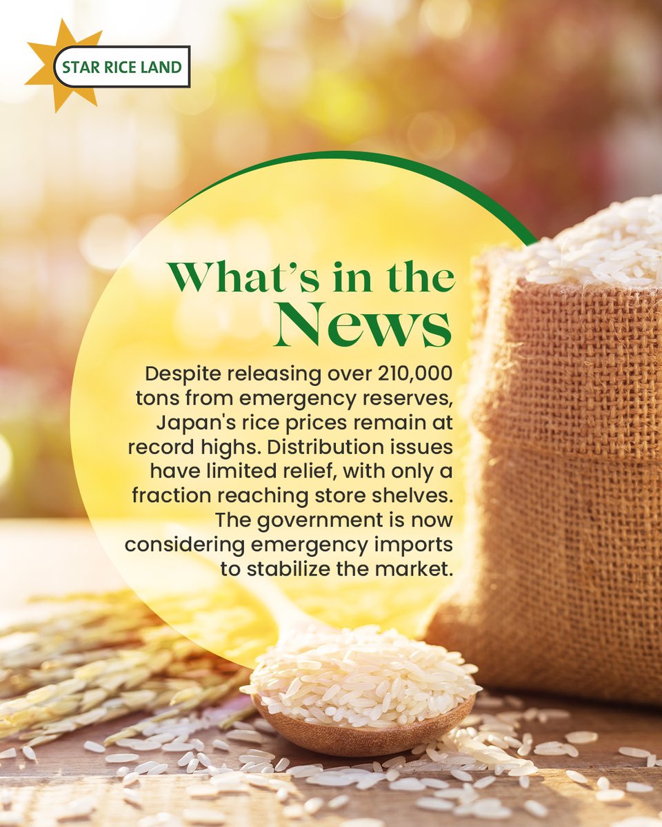 StarRiceLand's tweet photo. A new chapter for rice exports!

India’s lifted ban on 100% broken rice exports is opening doors for global trade, empowering farmers, and reshaping market dynamics.

#StarRiceLand #RiceTrade #GlobalMarkets #AgriNews #BrokenRice #GrainUpdate #FarmingFuture #CropTalk #FoodEconomy https://t.co/188JlJIusy