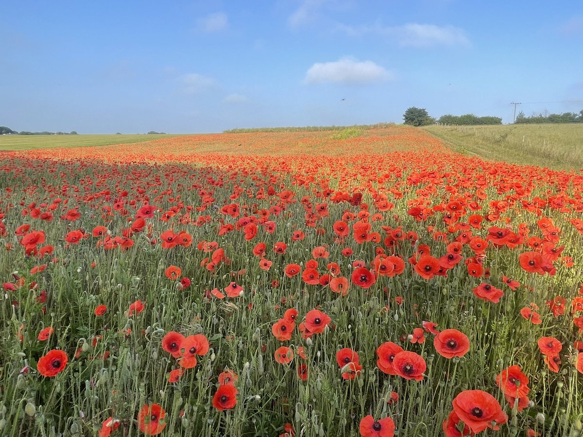 Nature putting on an impressive display this morning