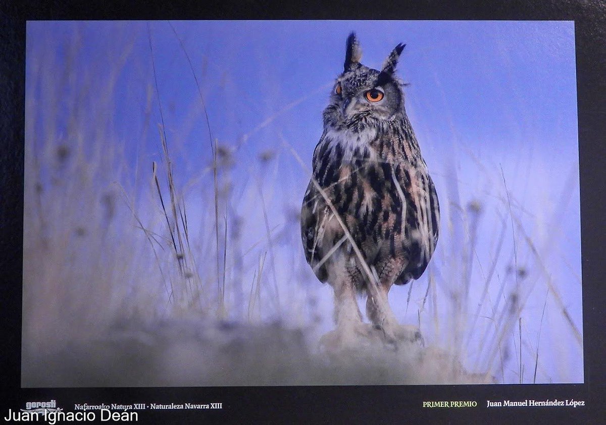 SCNGorosti's tweet photo. Concurso de Fotografía de Naturaleza SCN Gorosti. Fotos ganadoras y entrega de premios https://t.co/DAhImF22JP https://t.co/HGG6FNS64o