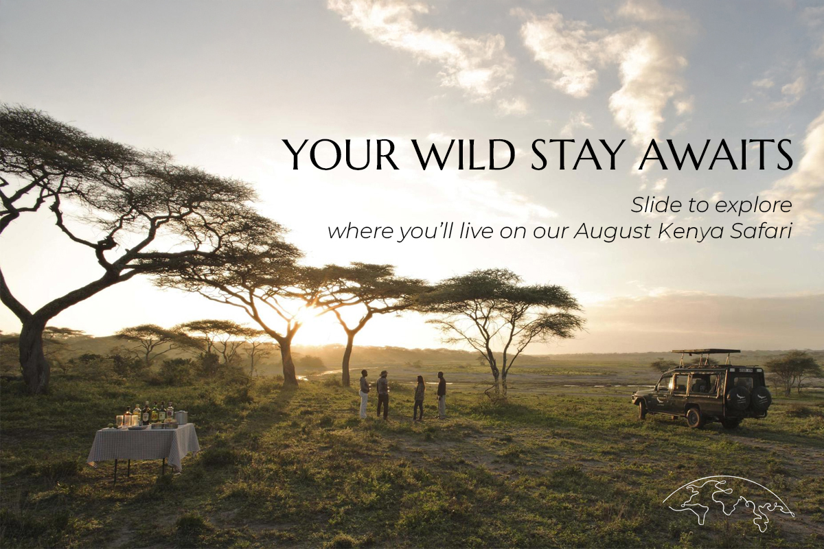 livewildexp's tweet photo. “This isn’t camping. It’s the wild—done right.”
A peek into the lodges we’ve handpicked for our August Kenya safari
🛏️🌍 Luxury in the bush, under the stars, with wildlife at your doorstep.
📍Limited group. Link in bio #BeyondMasaiMara
#KenyaSafari #LuxuryTravel #GreatMigration https://t.co/Fq37mHVjuV
