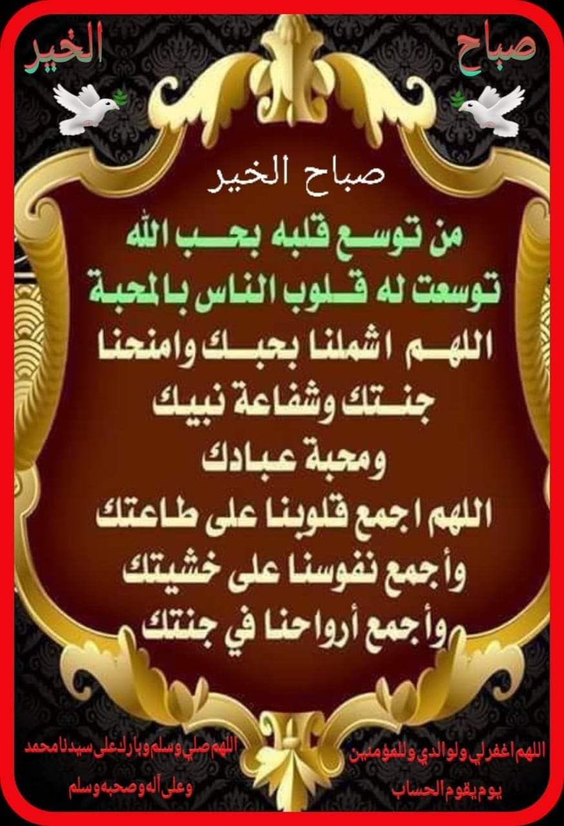محمد منصور (@mmansourf16) on Twitter photo 