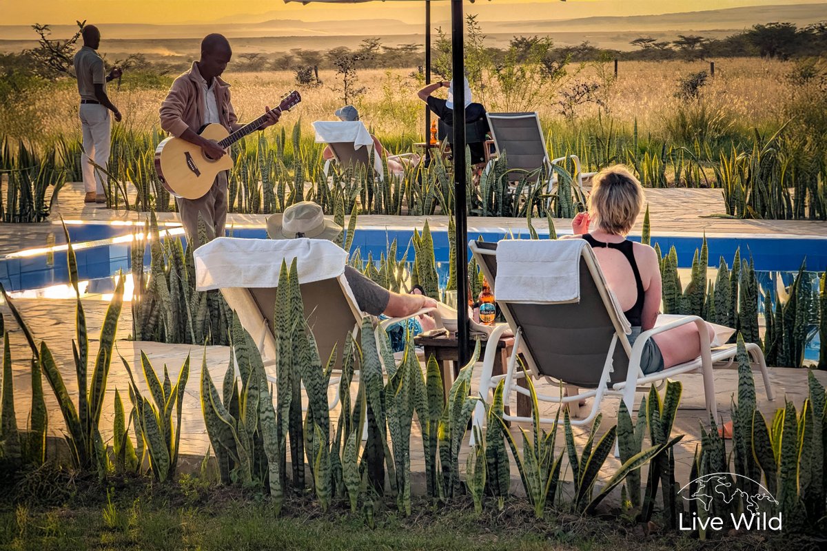 livewildexp's tweet photo. “This isn’t camping. It’s the wild—done right.”
A peek into the lodges we’ve handpicked for our August Kenya safari
🛏️🌍 Luxury in the bush, under the stars, with wildlife at your doorstep.
📍Limited group. Link in bio #BeyondMasaiMara
#KenyaSafari #LuxuryTravel #GreatMigration https://t.co/Fq37mHVjuV