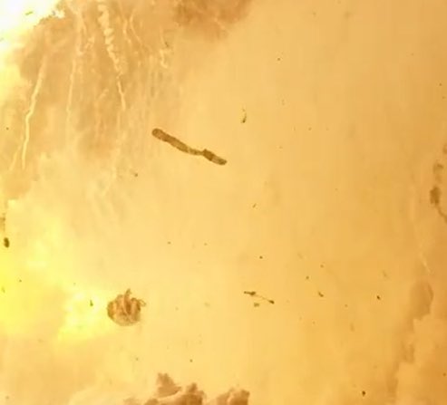 Anda, mira! Eso que se ve es la compuerta de los satélites Starlink. Parece que por fin SpaceX ha conseguido abrirla 🤣