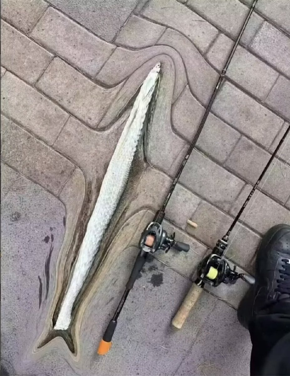 お前は東大に行け