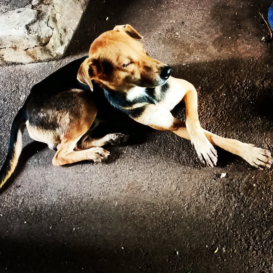 sursarangi3's tweet photo. Life is already Hard &amp; I don't want to be around ppl who make it even harder
I need ppl who
Feel like Home, Bring Comfort, Calm &amp; Sense of Peace
That's the kind of Energy I need in my Life 💖🧿♾

#mobilephotography #houseofhasu #quoteaboutlife #friends #Life #peace https://t.co/e3ZGDTvBQf