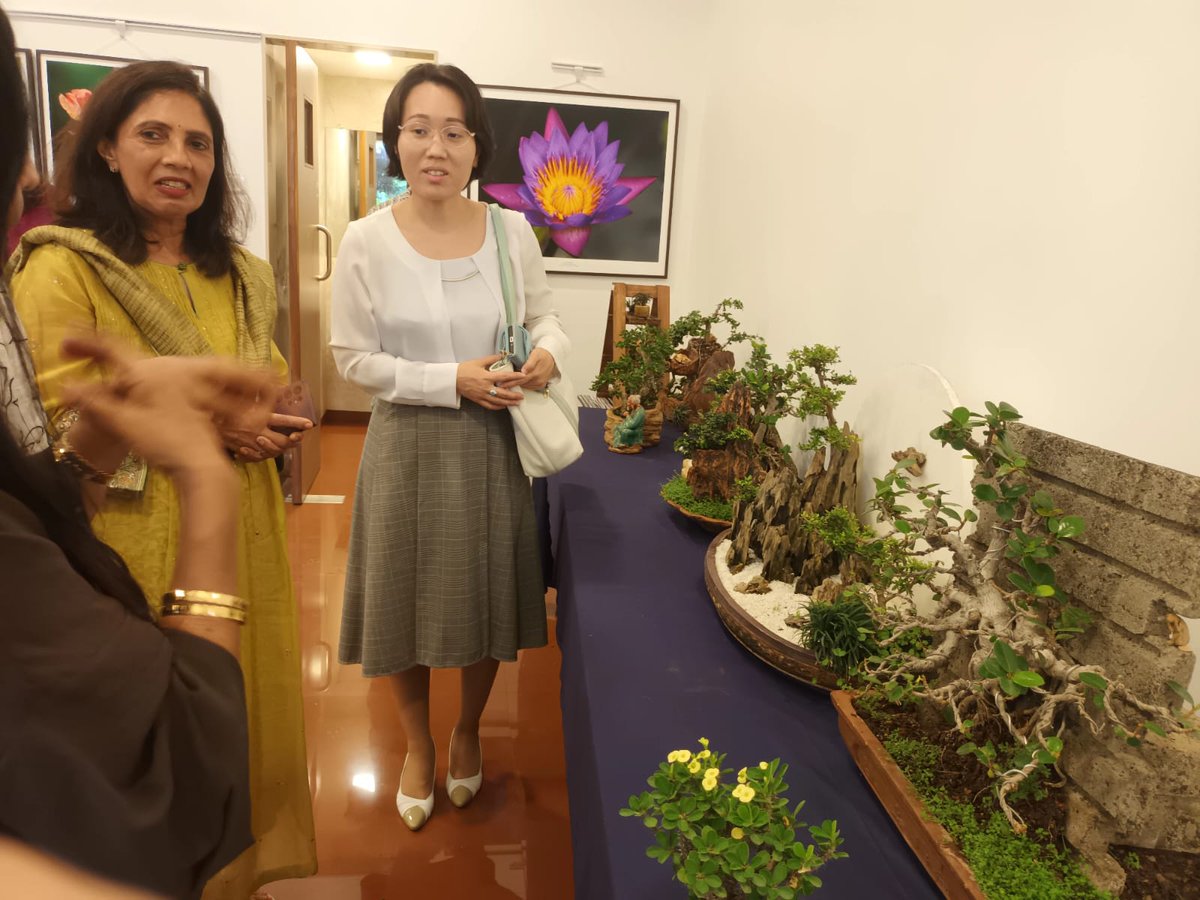 On 19th June 2025, Culture and Information Consul, Ms. Megumi HAMURO attended #Bonsai Study Group of the Indo-Japanese Association (BSG-IJA)'s event with a bonsai artist from Vadodara, Gujarat, who specialises in making unusual rock creations.