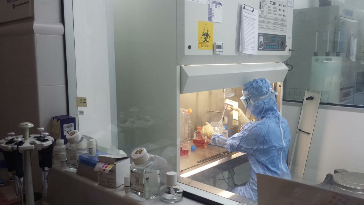 Raras pero Reales (@rarasreales) on Twitter photo Nueve niños con deficiencia de adhesión leucocitaria 1 (LAD-1) se han curado tras meses de tratamiento.
Un nuevo caso de colaboración internacional en terapias genéticas frente a las #EnfermedadesRaras. Ha participado en el proyecto el Hospital Niño Jesús de #Madrid. Nueve niños con deficiencia de adhesión leucocitaria 1 (LAD-1) se han curado tras meses de tratamiento.
Un nuevo caso de colaboración internacional en terapias genéticas frente a las #EnfermedadesRaras. Ha participado en el proyecto el Hospital Niño Jesús de #Madrid.