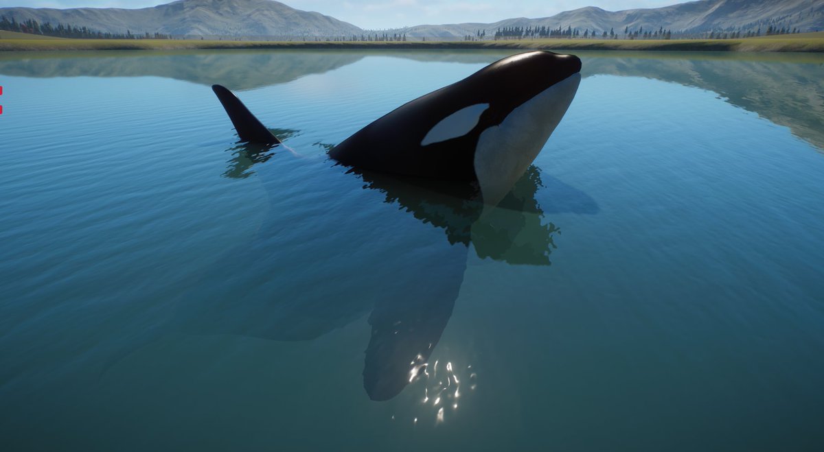 FRG_Hammer's tweet photo. Whole new Orca mod is on its way! 😍
- Alternate versions ✅️
- Realistic movment and speed ✅️
- Male, Female and Juvenile ✅️
- No more going on land ✅️
Stay tuned!
#PlanetZoo
#PlanetZooMods
#PlanetZooCommunity
#PlanetZooBuilds
#ZooBuilder
#Orca https://t.co/JiABoD8Zol