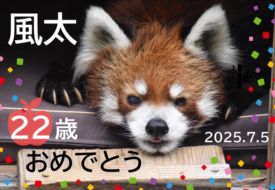 千葉市観光プロモーション課 on X: 