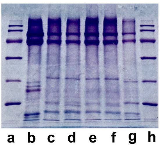 🔔 Highly Viewed Review in 2024 - Editor’s Choice Articles 
📑 Analytical Methods for the Identification and Quantitative Determination of Wool and Fine Animal Fibers: A Review
📌 mdpi.com/2079-6439/11/8…

#fibers #wool #animalfibers 
<a href="/MDPIOpenAccess/">MDPI</a>
<a href="/ChemMatSci_MDPI/">MDPI Chemistry & Materials Science</a>