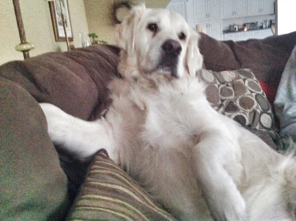 Christine Lozier (@christinelozier) on Twitter photo 