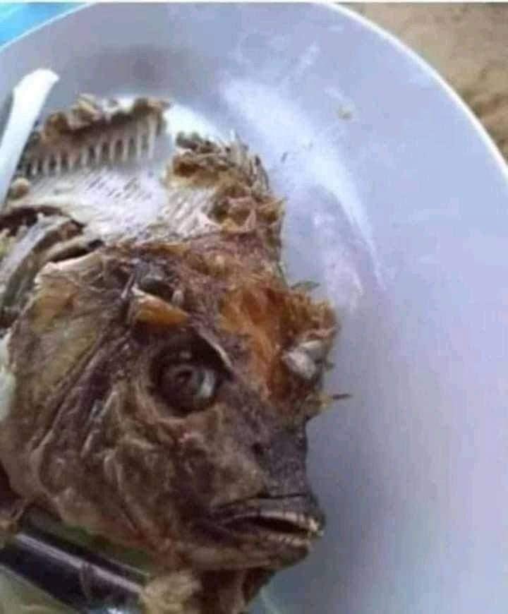 Dante humilde tweet media