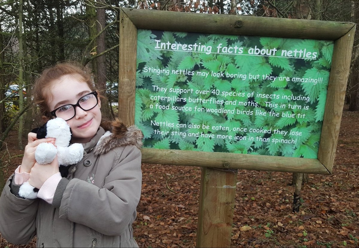 Rebecca's Butterfly Farm (BCyA) (@beccasbutterfli) on Twitter photo Here's a little me learning about how important Nettles are.
Maybe more signs like this can be put up for awareness.  What do you think <a href="/NBBCouncil/">NBBC</a> <a href="/WKWT/">Warwickshire Wildlife Trust</a>?
πΏπ₯ππ₯π¦
#LetNettlesGrow Here's a little me learning about how important Nettles are.
Maybe more signs like this can be put up for awareness.  What do you think <a href="/NBBCouncil/">NBBC</a> <a href="/WKWT/">Warwickshire Wildlife Trust</a>?
πΏπ₯ππ₯π¦
#LetNettlesGrow