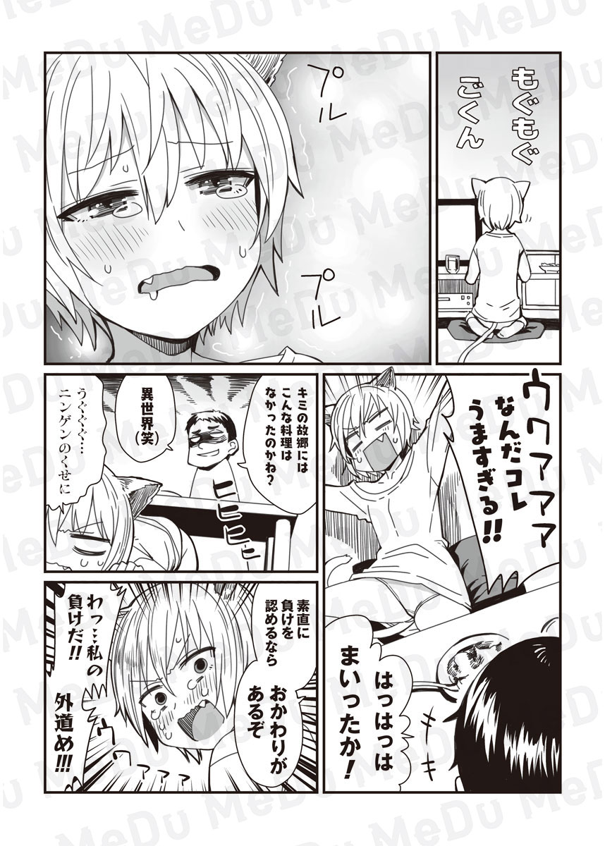 カレーの誘惑にはケモミミ娘も抗えない(1/3) 