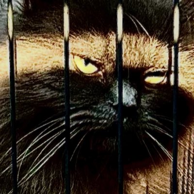 #NewProfilePic