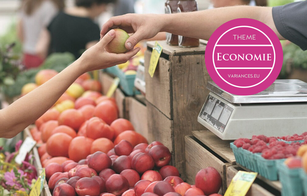« Comment mesurer l’évolution du pouvoir d’achat de l’ensemble des ménages ? » par Yaëlle Hauseux et Guillaume Houriez variances.eu/?p=8738