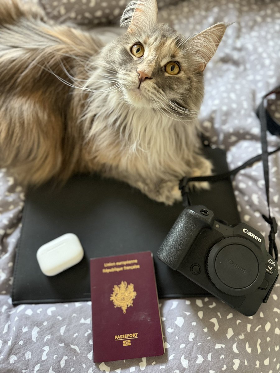 ✈️