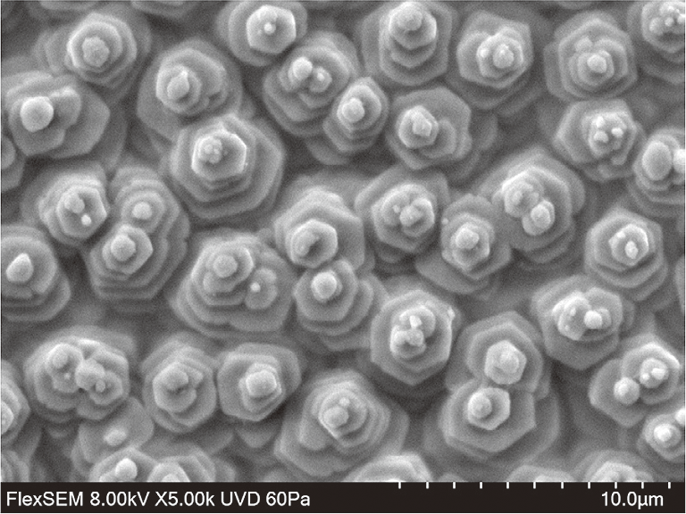Hitachi_EM's tweet photo. Happy National Seashell Day ! 🐚🐚🐚
(June 21)
#ElectronMicroscope #electronmicroscopy #NationalSeashellDay
Top-down and Cross-sectional SEM of an Abalone Shell
About the microscopes, visit
https://t.co/QFWm7b4Wy9
https://t.co/c0rt9ABmDs https://t.co/QWhrlSRwWx