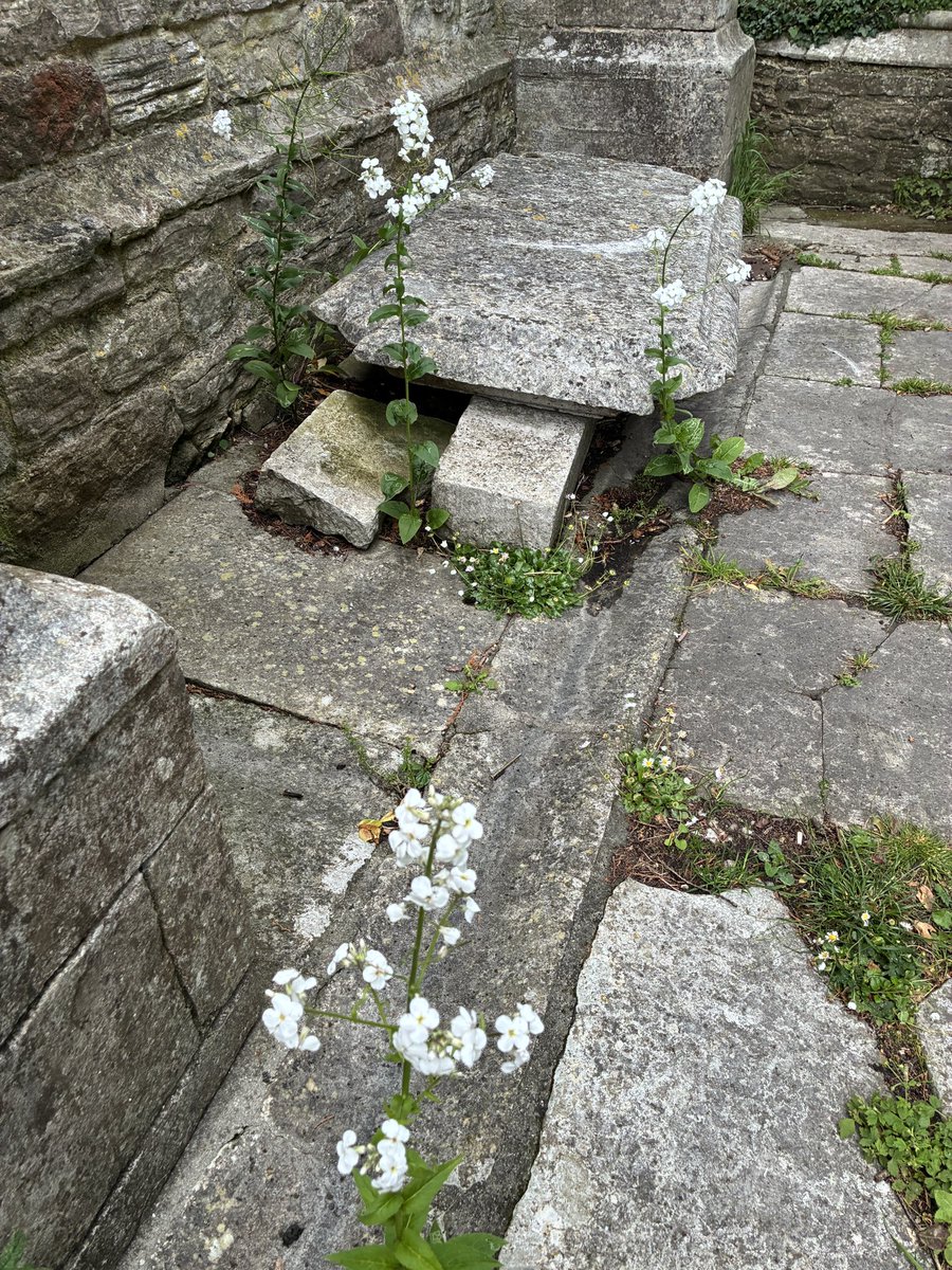 Somewhere on the #Walk. Join <a href="/chris_gallarus/">Chris Gallarus💙</a> tonight to find out where. Meet 8pm <a href="/thekingsarms_so/">The Kings Arms</a> High East St. Accessible to all dogs welcome. No booking needed. <a href="/VisitDorsetBiz/">Dorset Tourism Biz</a> <a href="/VisitDorset/">Visit Dorset</a> <a href="/DiscoverDorset/">Discover Dorset</a> <a href="/keep1063/">KeeP 106</a> <a href="/BBCDorset/">BBC Dorset</a> <a href="/itvwestcountry/">ITV News West Country</a>. Also enjoy a cool riverside stroll