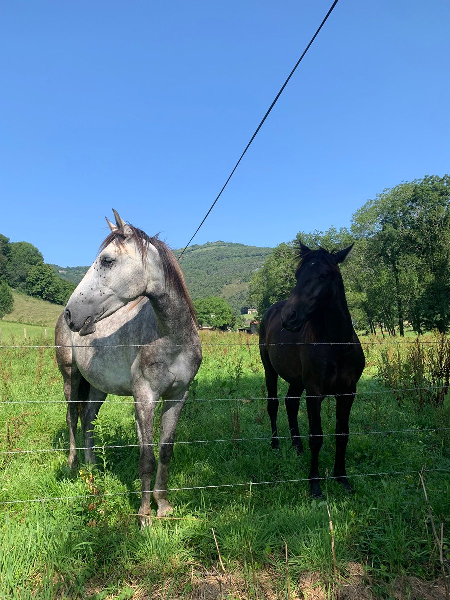 SUMMERNATURA's tweet image. 🎒⛰️ 18 06 2025 English Immersion en San Miguel de Aras | Día 2 en el campamento de inglés. Visita a la cueva de La Covarona y juegos de ingenio.

summernatura.com/18-06-2025-eng…

.

#campamentosdeingles  #englishsinmersivecamps #englishimmersion #inmersiondeingles #inmersiónlingüística