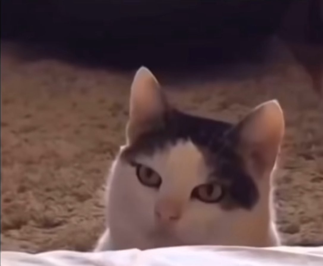 Roman Onishchenko tweet media