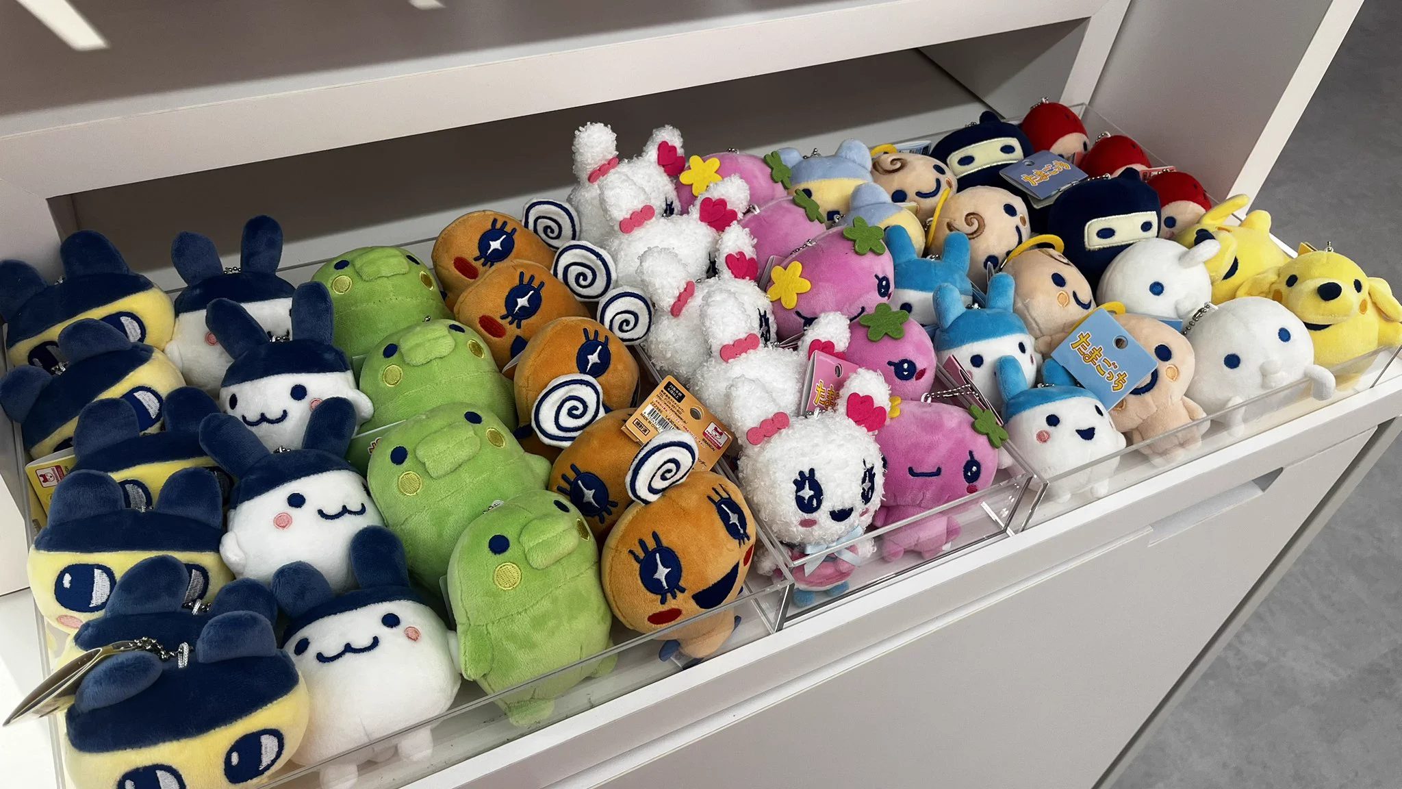 キデイランド新宿店 on X: 