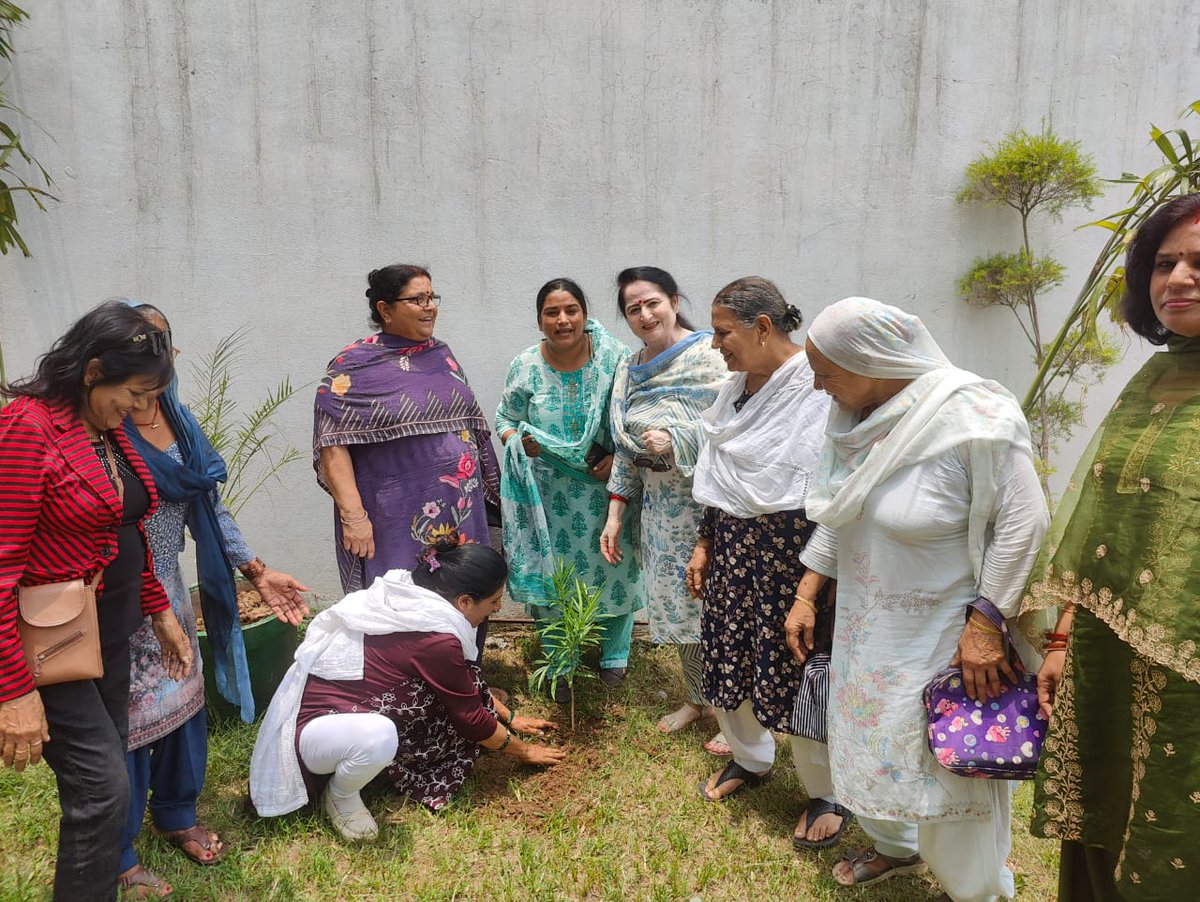 Haryana Pradesh Mahila Congress (@haryanapmc) on Twitter photo आज अपने प्रिय नेता श्री <a href="/RahulGandhi/">Rahul Gandhi</a> जी के जन्म दिवस के उपलक्ष में एचपीएमसी अध्यक्ष <a href="/SudhaHpmc/">Sudha Bhardwaj</a> जी ने साथियों के साथ #संगठन_सृजन_अभियान के तहत हुई बैठक में केक काट कर और वृक्ष लगाकर अपनी शुभकामनाएं दी। आज अपने प्रिय नेता श्री <a href="/RahulGandhi/">Rahul Gandhi</a> जी के जन्म दिवस के उपलक्ष में एचपीएमसी अध्यक्ष <a href="/SudhaHpmc/">Sudha Bhardwaj</a> जी ने साथियों के साथ #संगठन_सृजन_अभियान के तहत हुई बैठक में केक काट कर और वृक्ष लगाकर अपनी शुभकामनाएं दी।