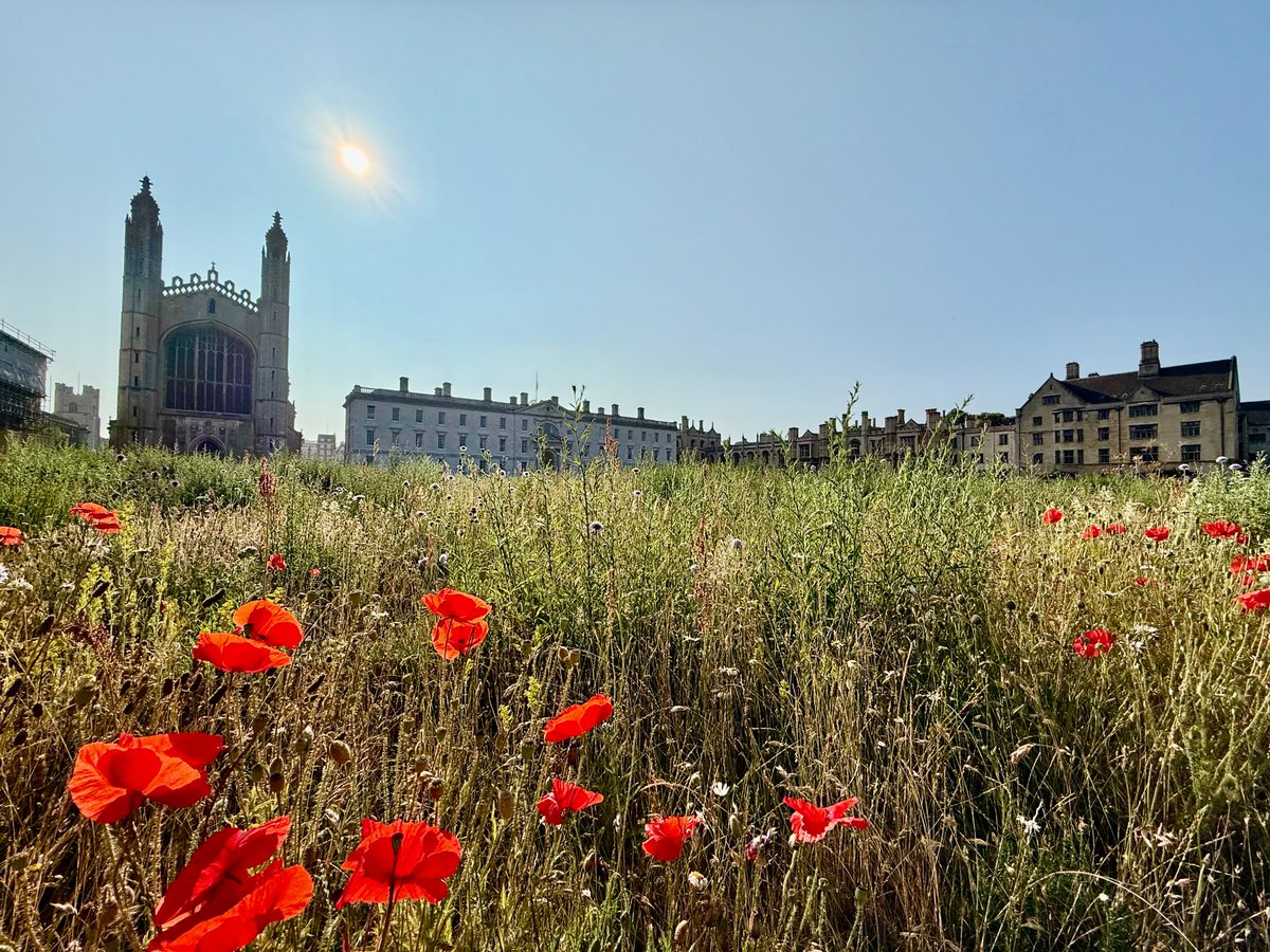 Kamiar Mohaddes (@kamiarmohaddes) on Twitter photo Good morning from a sunny #Cambridge, we are about to start Day 1 of our #LLM x #Law #Hackathon with a full day workshop on "#Hack with Agents" by <a href="/Google/">Google</a>. We're super excited to welcoming participants from 15 countries & 43 universities to <a href="/KingsELab/">King’s Entrepreneurship Lab</a> and the hackathon this year! Good morning from a sunny #Cambridge, we are about to start Day 1 of our #LLM x #Law #Hackathon with a full day workshop on "#Hack with Agents" by <a href="/Google/">Google</a>. We're super excited to welcoming participants from 15 countries & 43 universities to <a href="/KingsELab/">King’s Entrepreneurship Lab</a> and the hackathon this year!